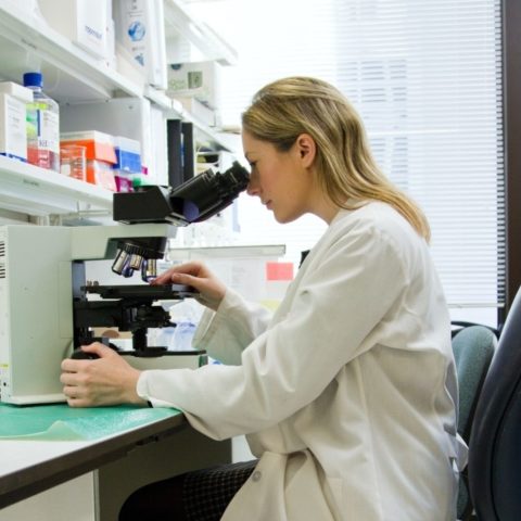 Health Science Services